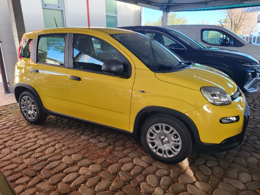 FIAT PANDA 1.0 70cv HYBRID – KM0 – PREZZO PROMO